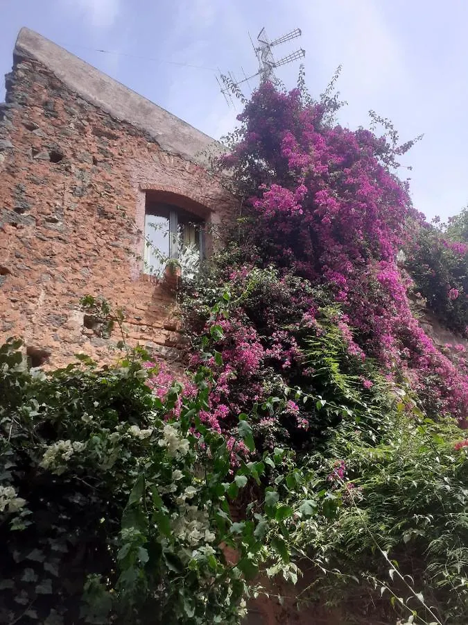 Apartmán Sul Giardino CTA